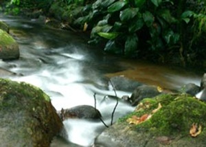Parque Municipal Natural da Taquara em Duque de Caxias
