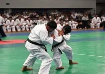 Copa Sesc de Judô