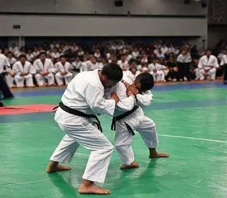 Copa Sesc de Judô