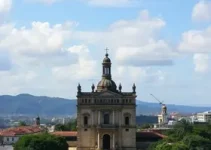 seleção no meio ambiente