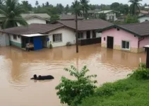 alagamentos em Duque de Caxias