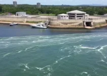 Rio das Ostras